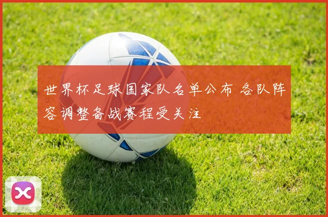 世界杯足球国家队名单公布 各队阵容调整备战赛程受关注