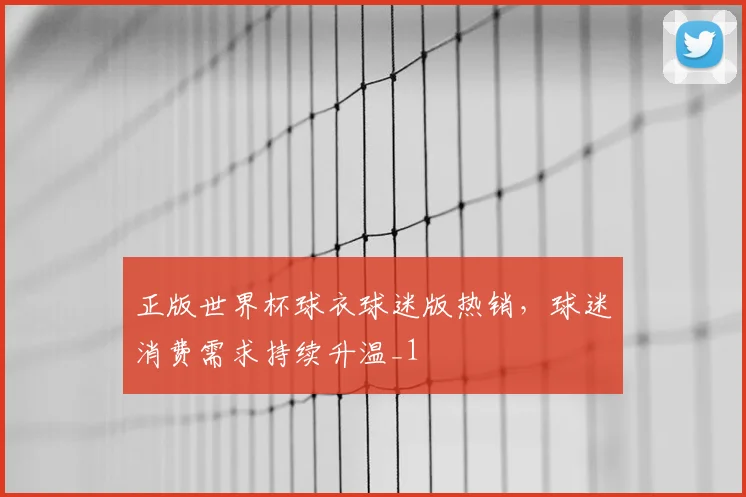正版世界杯球衣球迷版热销,球迷消费需求持续升温_1