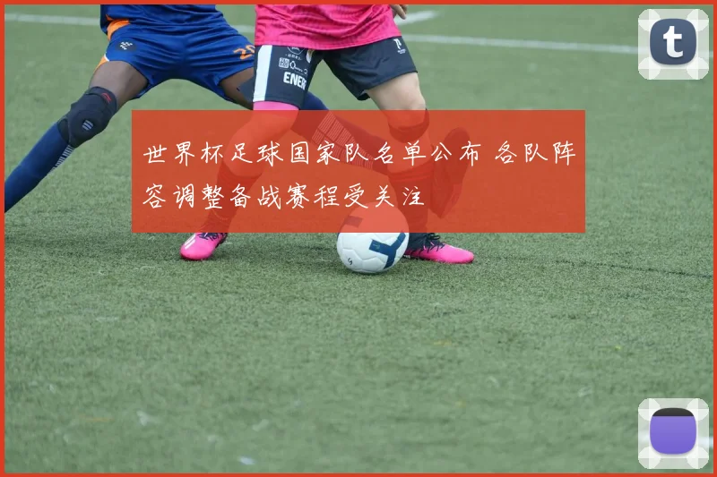 世界杯足球国家队名单公布 各队阵容调整备战赛程受关注