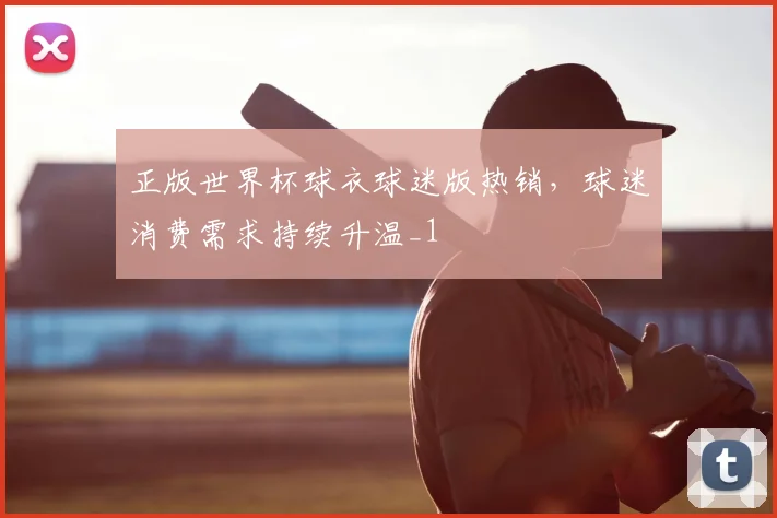 正版世界杯球衣球迷版热销，球迷消费需求持续升温_1