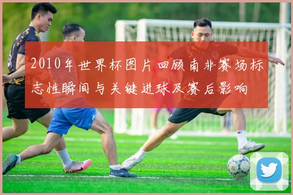2010年世界杯图片回顾南非赛场标志性瞬间与关键进球及赛后影响