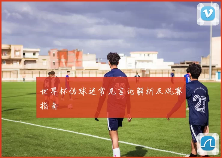 世界杯伪球迷常见言论解析及观赛指南