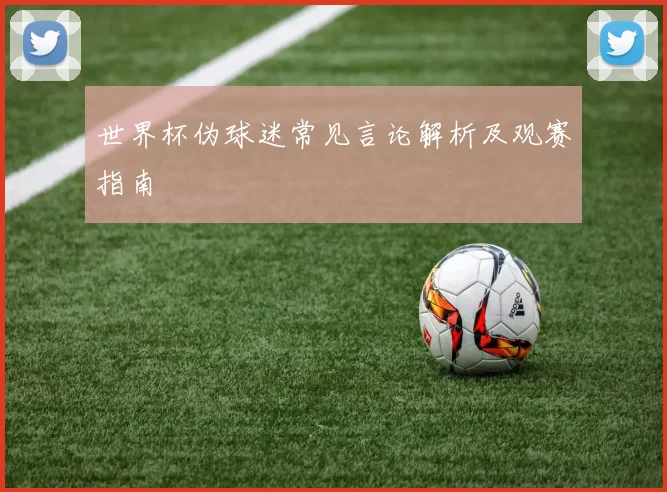 世界杯伪球迷常见言论解析及观赛指南