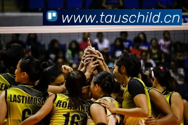 开云「中国」Kaiyun·官方网站 - 国内一流技术服务商APP 封面图